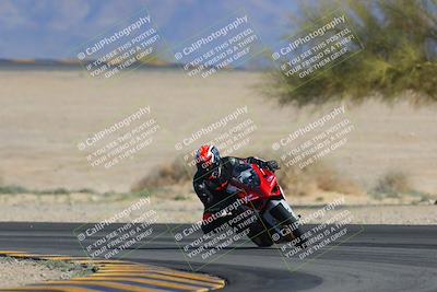 media/Feb-04-2023-SoCal Trackdays (Sat) [[8a776bf2c3]]/Turn 4 (Tree of Life 2pm)/